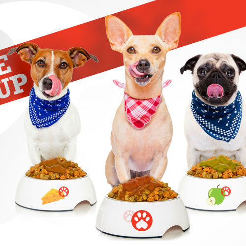 Canine Ketchup is good for your dog