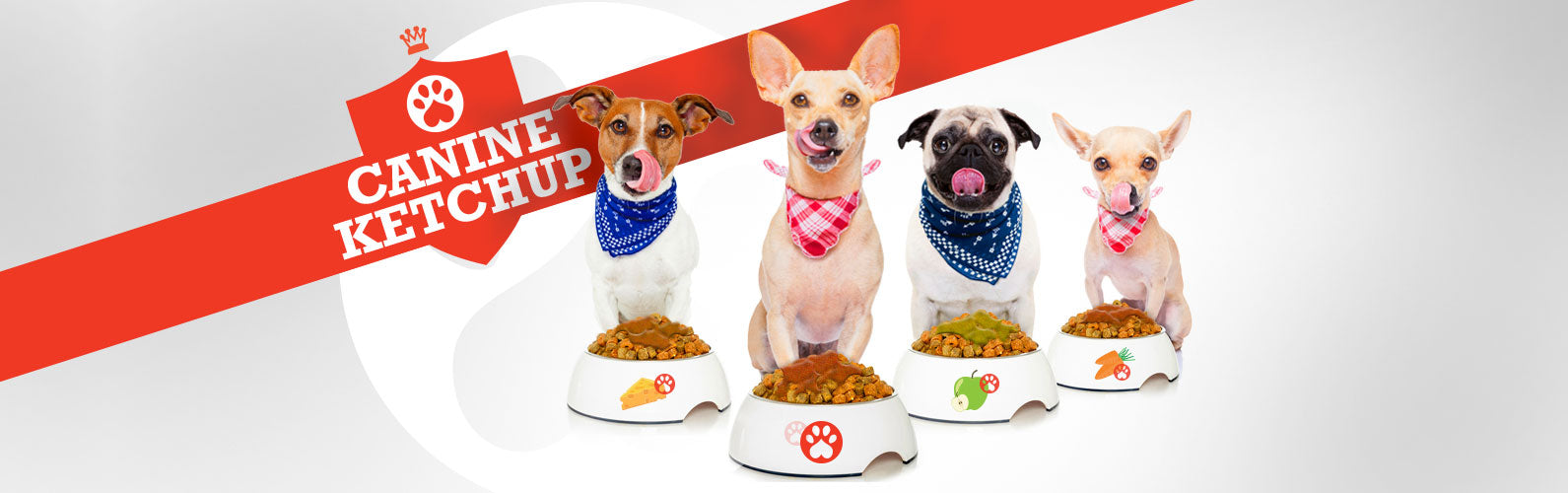 Canine Ketchup is good for your dog