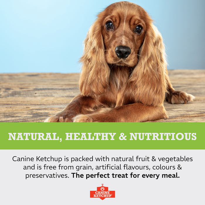 Canine Ketchup 425g - Cheese Flavour