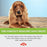 Pure Scottish Salmon Oil - 500ml