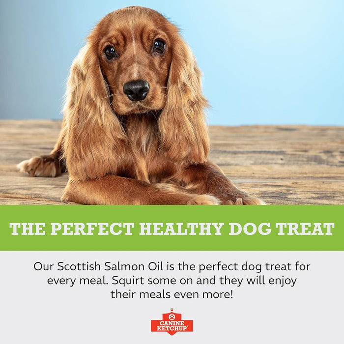 Pure Scottish Salmon Oil - 500ml