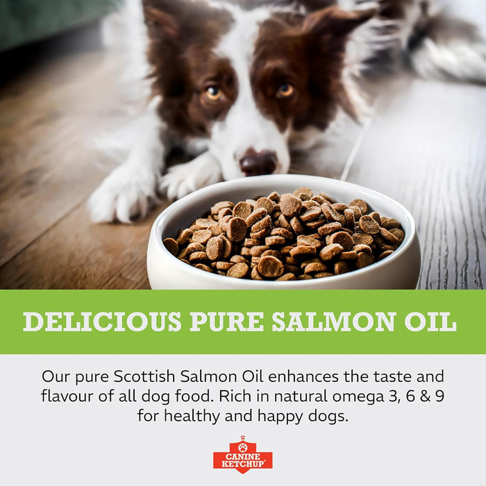 Pure Scottish Salmon Oil - 500ml