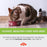 Pure Scottish Salmon Oil for Cats - 500ml