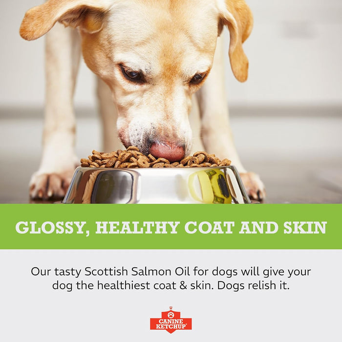 Pure Scottish Salmon Oil - 500ml