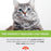 Pure Scottish Salmon Oil for Cats - 500ml